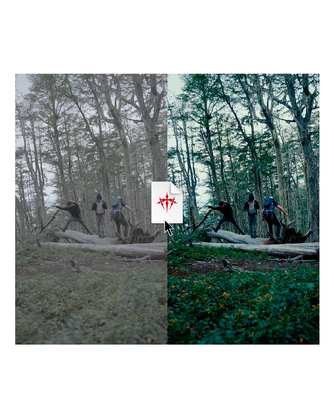 Cinematic Nature Color Grade