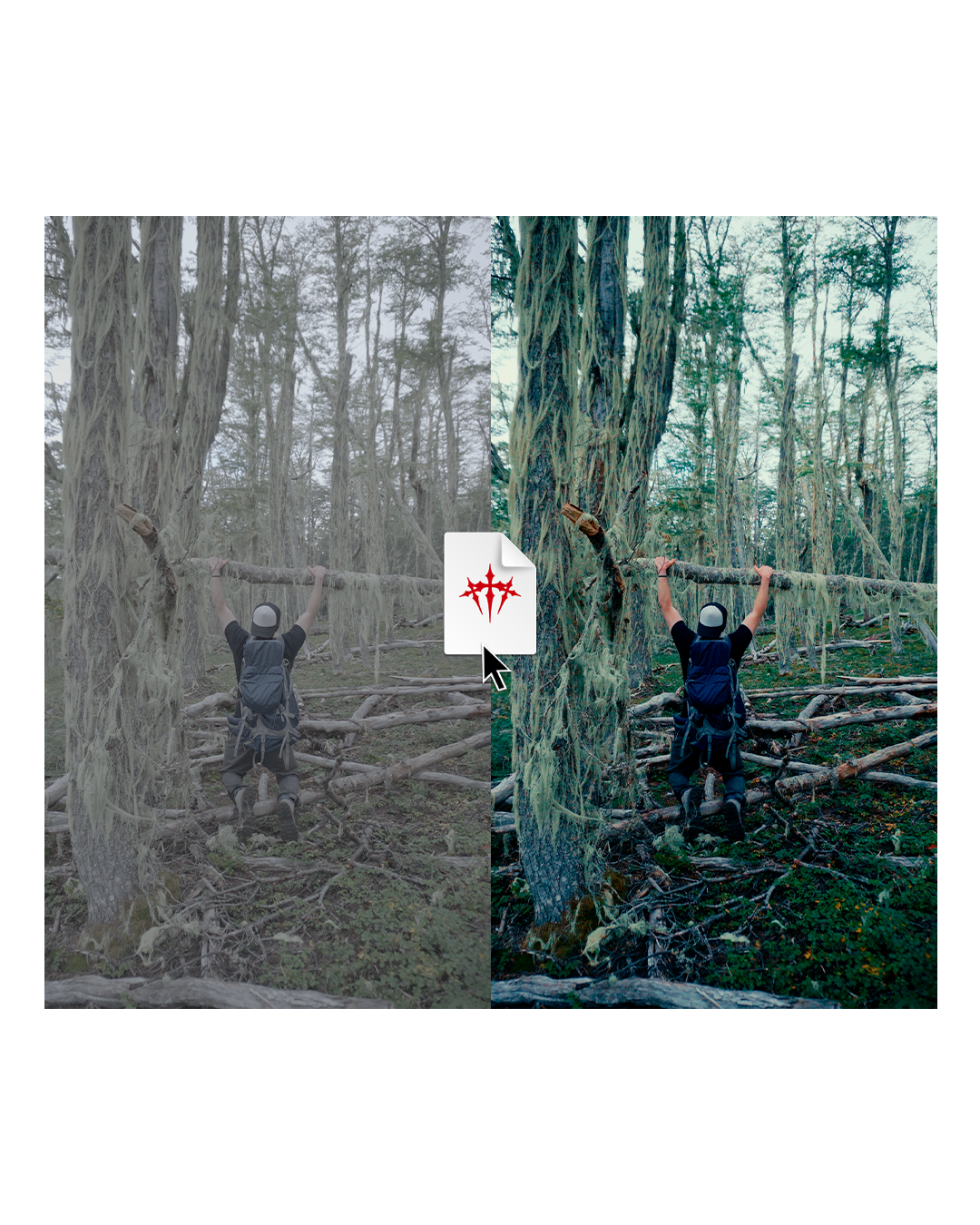 Cinematic Nature Color Grade