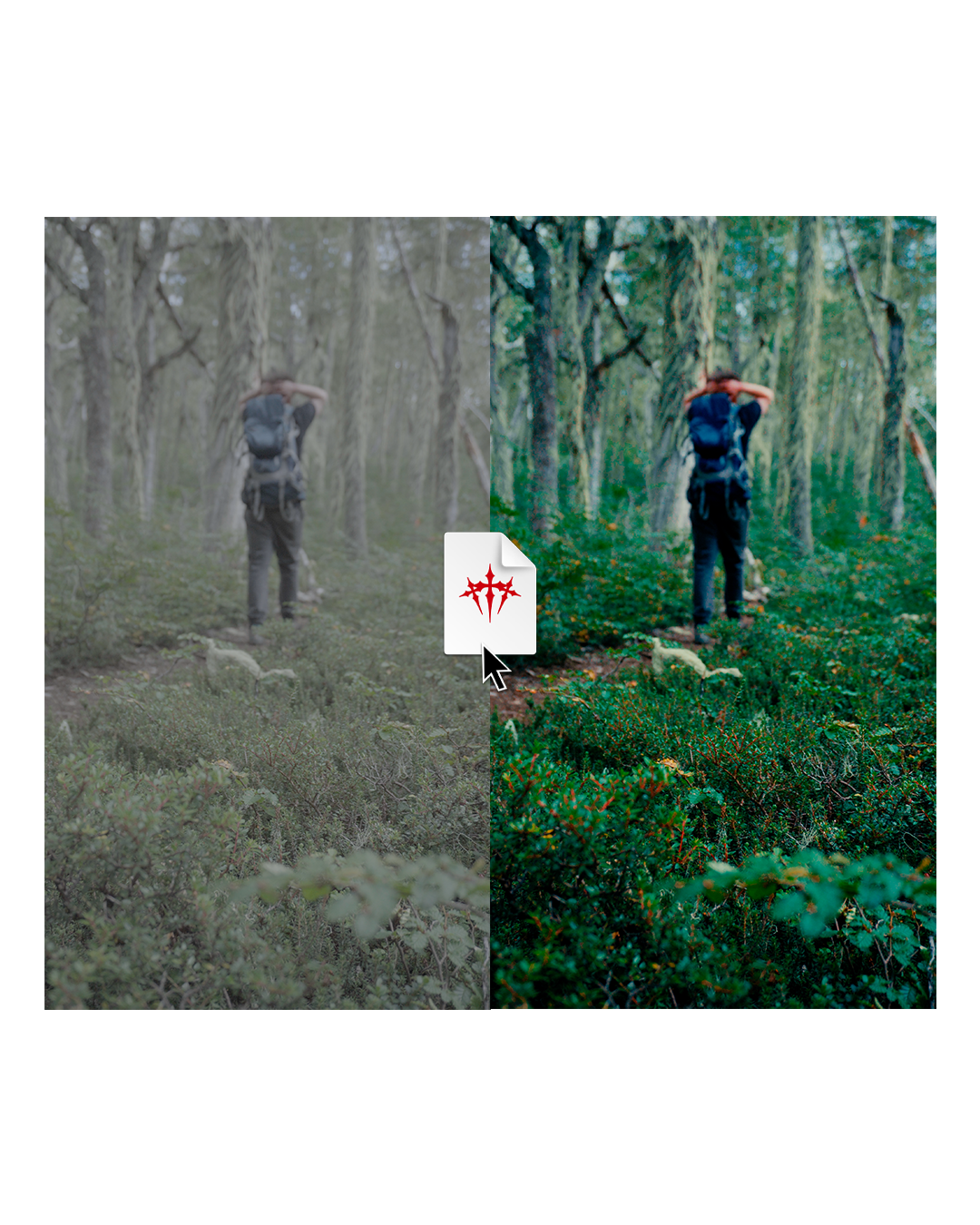 Cinematic Nature Color Grade